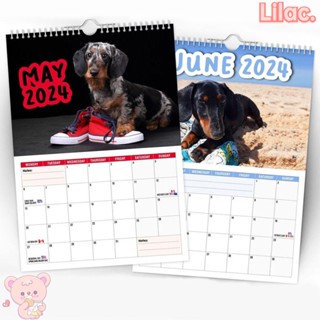 Lilac 2024 ปฏิทินแขวนผนัง ลาย Cheeky Dachshunds ของขวัญปีกระดาษ สําหรับตกแต่งบ้าน