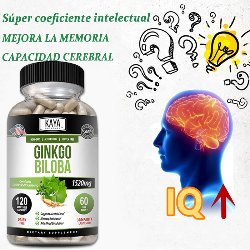 Ginkgo Biloba Extract เข้มข้น บำรุงสมอง สารต้านอนุมูลอิสระ Ginkgo Biloba