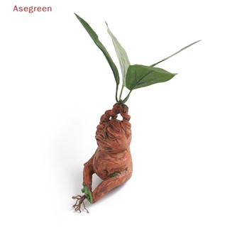 [Asegreen] ฟิกเกอร์เรซิ่น รูปปั้นหญ้า Mandrake สําหรับตกแต่งสวน