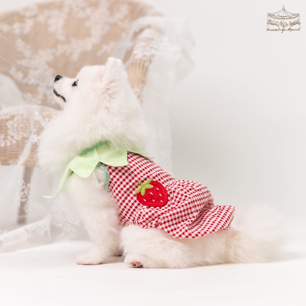 Animal-Go-Round เสื้อผ้าเครื่องแต่งกาย สัตว์เลี้ยง, หมา, แมว, สุนัข รุ่น Kiddy Strawberry