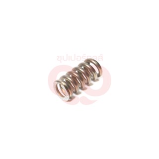 KARCHER (คาร์เชอร์) HELICAL SPRING