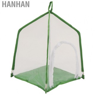 Hanhan Insect Mesh Cage  House Shaped Insect Cage Transparent  for Mantises