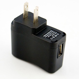 Rich2.br อะแดปเตอร์ชาร์จ USB AC 110V-240V เป็น DC 5V 500mA ปลั๊ก US ขนาดพกพา