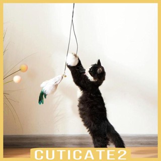 [Cuticate2] ของเล่นตุ๊กตาแมว แบบแขวนประตู สําหรับแมวในร่ม