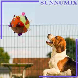 [Sunnimix] ลูกบอลเขย่า แบบพกพา อุปกรณ์เสริม สําหรับสัตว์เลี้ยง สุนัข แมว