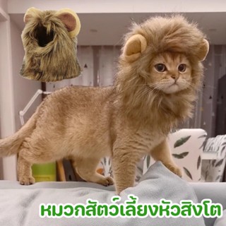 พร้อมส่ง หมวกแมว หมวกสิงโต หมวกสัตว์เลี้ยง หัวสิงโต หมวกหมา Lion Cat