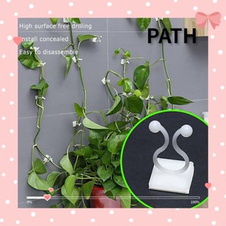 Path คลิปพลาสติก สําหรับหนีบต้นไม้ ปีนเขา เถาวัลย์ติดผนัง 10 50 ชิ้น