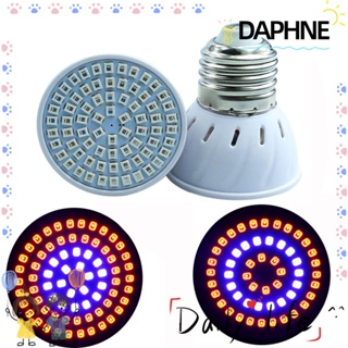 Daphne E27/GU10/MR16 ชุดโคมไฟไฮโดรโปนิก Led 36/54/72 ดวง สําหรับตกแต่งสวน