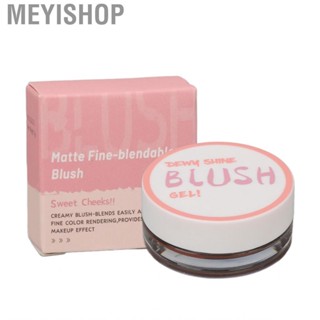 Meyishop Blusher  Moisturizing Shiny Color Changing  Nourishing for Makeup