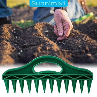 [Sunnimix1] ดอกทิวลิป 12 หลุม สําหรับปลูกต้นไม้ ดอกไม้