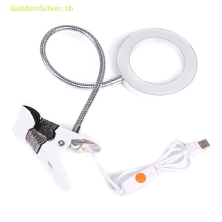 Goldensilver โคมไฟตั้งโต๊ะ LED USB สีเงิน สําหรับตกแต่งเล็บ 1 ชิ้น