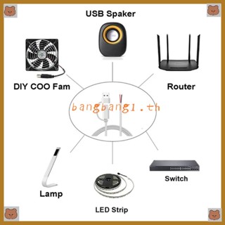 Bang สายเคเบิล USB C เป็น 2Pin 5V 2A USB Type C ตัวผู้ 2Pin พิกเทล