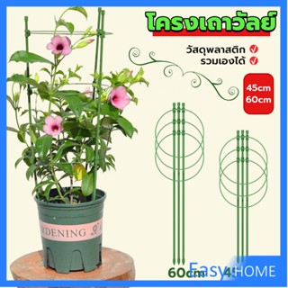 โครงเถาวัลย์ เสามะเขือเทศ โครงปลูก อุปกรณ์สำหรับพืชไม้เลื้อย 45cm 60cm plant trellis