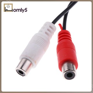 [Homyl5] อุปกรณ์กรองเสียงสเตอริโอ RCA 12V 2 ช่องทาง สําหรับบ้าน รถยนต์