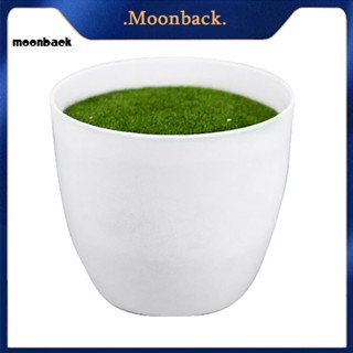 &lt;moonback&gt; กระถางดอกไม้จําลอง พลาสติก ทรงกลม สําหรับตกแต่งบ้าน ออฟฟิศ