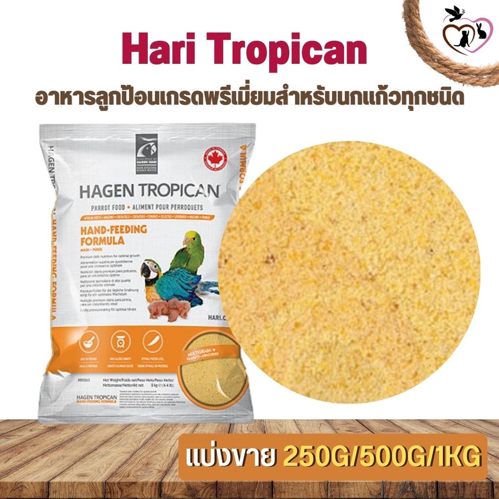 Hari Tropican อาหารลูกป้อนเกรดพรีเมี่ยมสำหรับนกแก้วทุกชนิด สกัดจากธัญพืชและถั่วลิสง (แบ่งขาย 250G/500G/1KG)