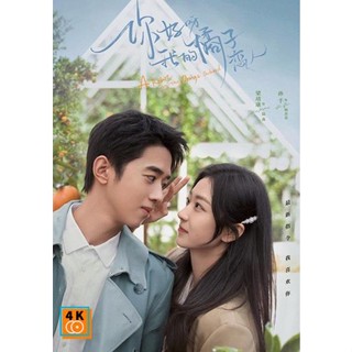 หนัง DVD ออก ใหม่ A Robot in the Orange Orchard (2022) ภูมิแพ้หัวใจยัยโรบอต (30 ตอน) (เสียง ไทย/จีน | ซับ ไทย) DVD ดีวีด