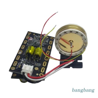 Bang ไดอะแฟรม ขนาดใหญ่ ตัวเก็บประจุไมโครโฟน แผงวงจรบันทึกเสียง หลักการ DIY