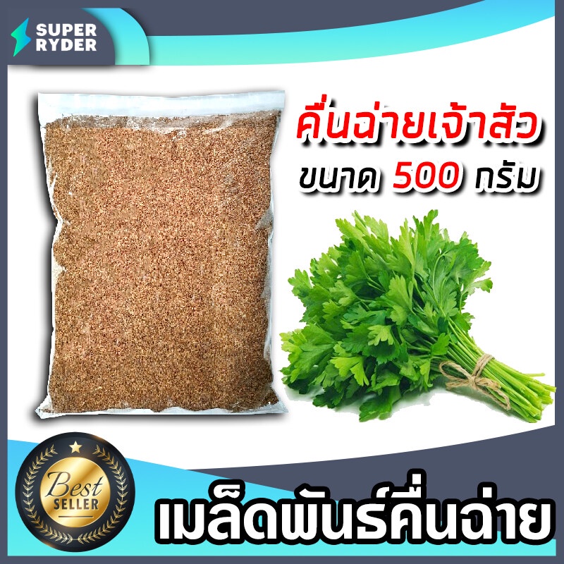 เมล็ดคื่นฉ่าย (เจ้าสัว) หนัก 500กรัม  เมล็ดพันธุ์ผัก เมล็ดสมบรูณ์ เมล็ดพันธุ์คื่นฉ่าย โตง่าย โตเร็ว 