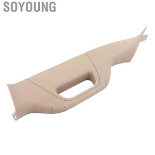 Soyoung A Pillar Grab Handle Left Front BC3Z 2503599 AA  Aging Windshield A Pillar Handle for Cars