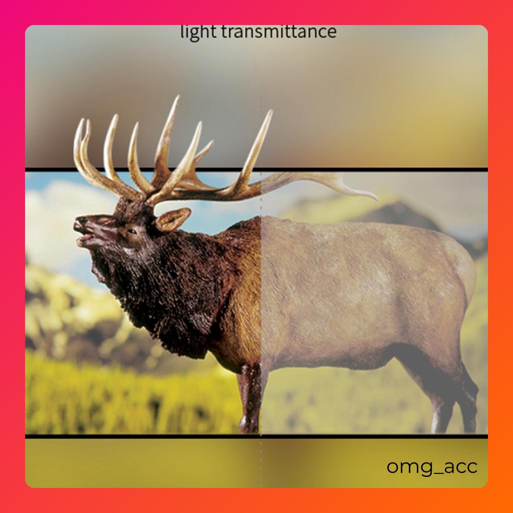 กระจกนิรภัยFull 5DสําหรับInfinix Hot 7 8 9 10 10s 11 11s NFC 12 12i 20 20i 30 30i 50 50i Play Note L