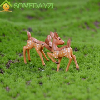 SOMEDAYZL บอนไซ สวนขวด ขนาดเล็ก น่ารัก สําหรับตกแต่งบ้าน สวน