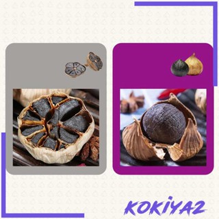 [Kokiya2] กล่องหมักกระเทียม โยเกิร์ต และกระเทียม แบบอัตโนมัติ อเนกประสงค์ สีดํา