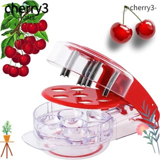 CHERRY3 อุปกรณ์ถอดแกนเชอร์รี่ 6 หลุม สะดวกสบาย คุณภาพสูง สําหรับเชอร์รี่