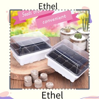 Ethel1 ถาดปลูกต้นไม้ พลาสติก ขนาดเล็ก 6 12 ช่อง พร้อมฝาปิด