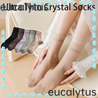 Eucalytus1 ถุงเท้าลูกไม้ ระบายอากาศ สีพื้น แฟชั่นฤดูร้อน สําหรับผู้หญิง 5 คู่