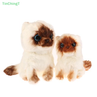 [TinChingT] ตุ๊กตาแมวจําลองน่ารัก ของเล่นสําหรับแมว