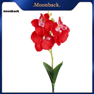 &lt;moonback&gt; ดอกกล้วยไม้ประดิษฐ์ ผีเสื้อ สําหรับตกแต่งบ้าน สวน เวที 1 ชิ้น