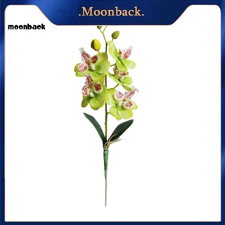 &lt;moonback&gt; ดอกกล้วยไม้ประดิษฐ์ ผีเสื้อ กล้วยไม้ DIY สําหรับตกแต่งบ้าน สวน เวที ปาร์ตี้ งานแต่งงาน 1 ชิ้น