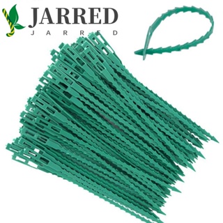 Jarred สายเคเบิลไทร์ พลาสติก ปรับได้ ทนต่อการกัดกร่อน สําหรับสวน