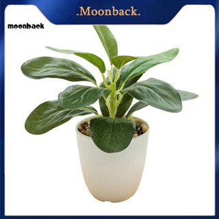 &lt;moonback&gt; กระถางต้นไม้ประดิษฐ์ หินเทียม ติดทนนาน ไม่เหนอะหนะ สําหรับตกแต่งบ้าน