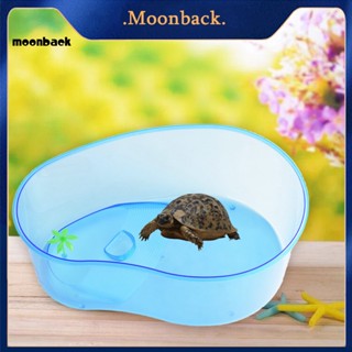 &lt;moonback&gt; ถังเต่าใส อุปกรณ์สัตว์เลื้อยคลาน พิพิธภัณฑ์สัตว์น้ํา ปีนเขา สัตว์เพาะพันธุ์ พื้นผิวเรียบ