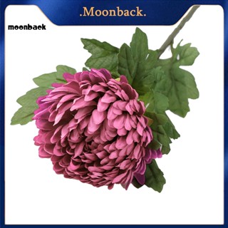 &lt;moonback&gt; ดอกเบญจมาศปลอม สีสันสดใส สําหรับตกแต่งบ้าน