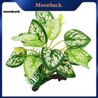 &lt;moonback&gt; พืชน้ําจําลอง ทรงวงรี หลายรูปแบบ ไม่จางหาย สําหรับตู้ปลา ไม้น้ํา ใบไม้ดริฟท์วูด