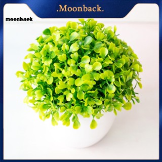 &lt;moonback&gt; ต้นบอนไซประดิษฐ์ สีเขียว สําหรับสวน ไม่รดน้ํา เหมือนจริง