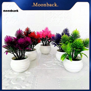 &lt;moonback&gt; ต้นบอนไซจําลอง พลาสติก ไม่ซีดจาง สมจริง สําหรับถ่ายภาพ 1 ชุด