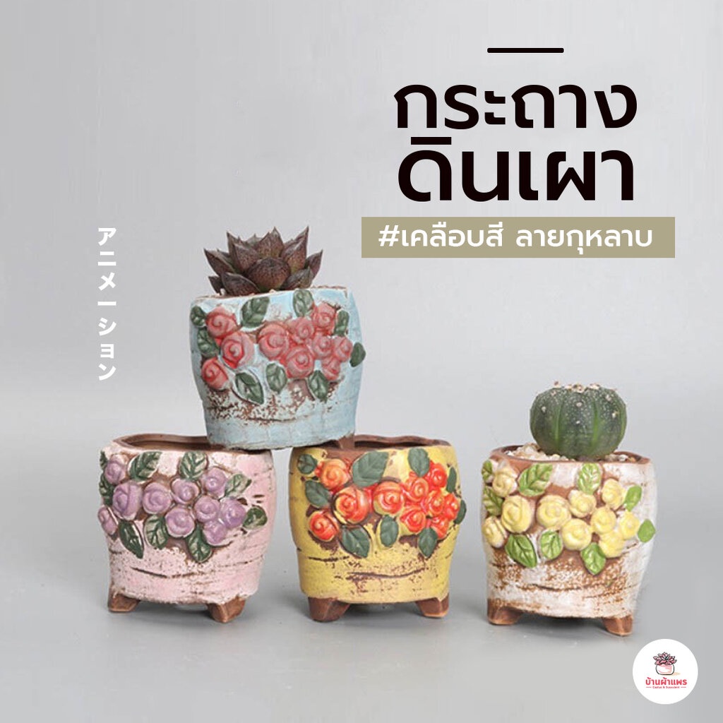 กระถางดินเผาเคลือบสี ลายกุหลาบ กระถางต้นไม้ ไม้อวบน้ำ กุหลาบหิน cactus&succulentหลากหลายสายพันธุ์