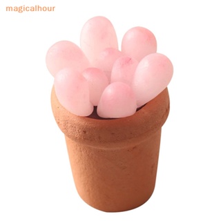 Magicalhour^^ โมเดลกระถางไม้อวบน้ําจิ๋ว 1:12 สําหรับตกแต่งบ้านตุ๊กตา