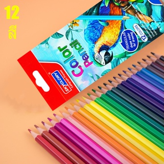 ดินสอสี สีไม้ ดินสอสีไม้มาสเตอร์อาร์ต 12 สี / กล่อง แปรงเรียบสีสดใส