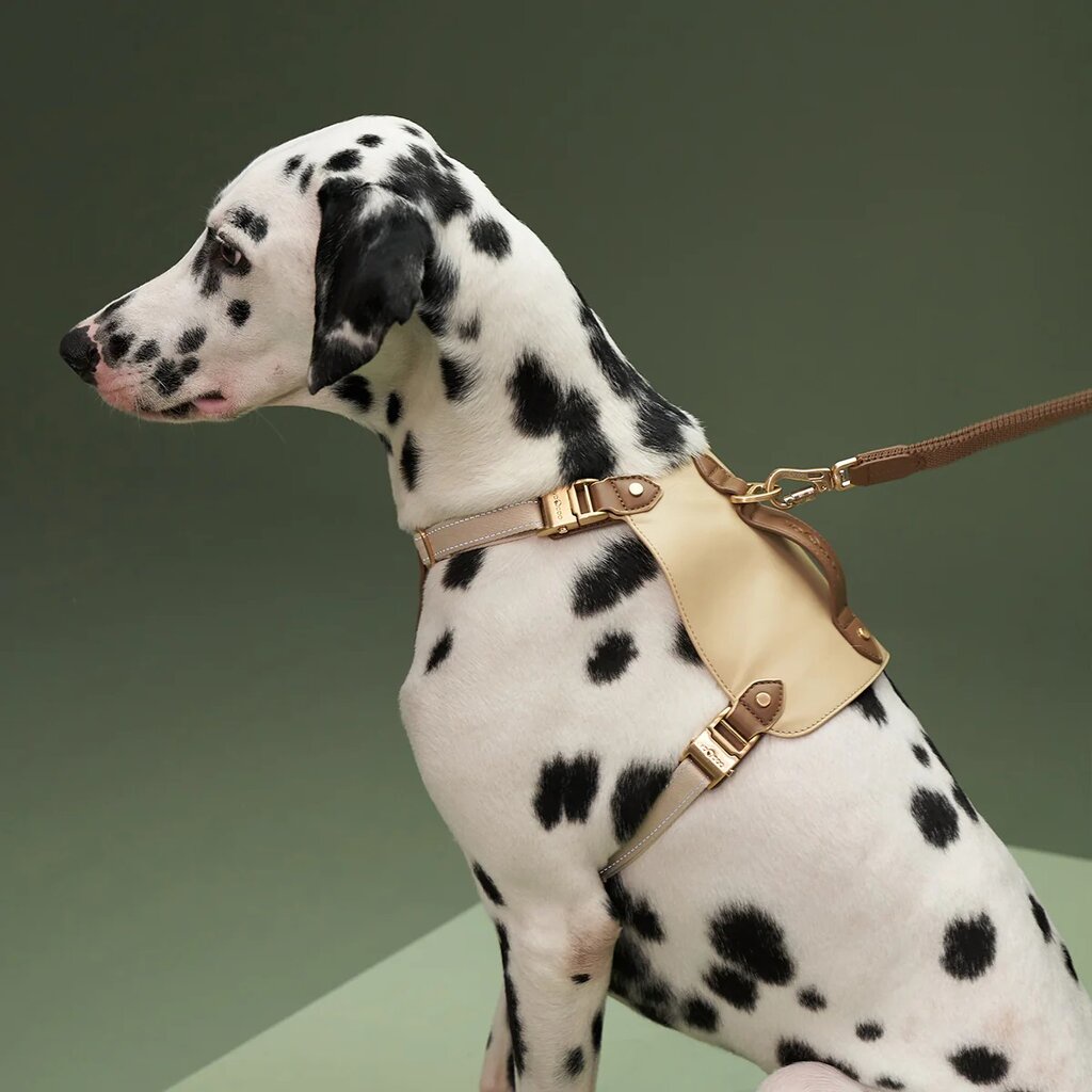 อานพร้อมสายจูง VOOCOO Saddle Pet Harness Set