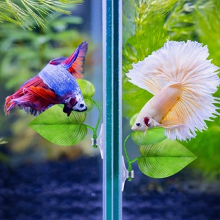 Your Pet Store 4pcs Betta Fish Leaf Plastic Double Resting Spot with Suction Cup for 5-10L Water Tank