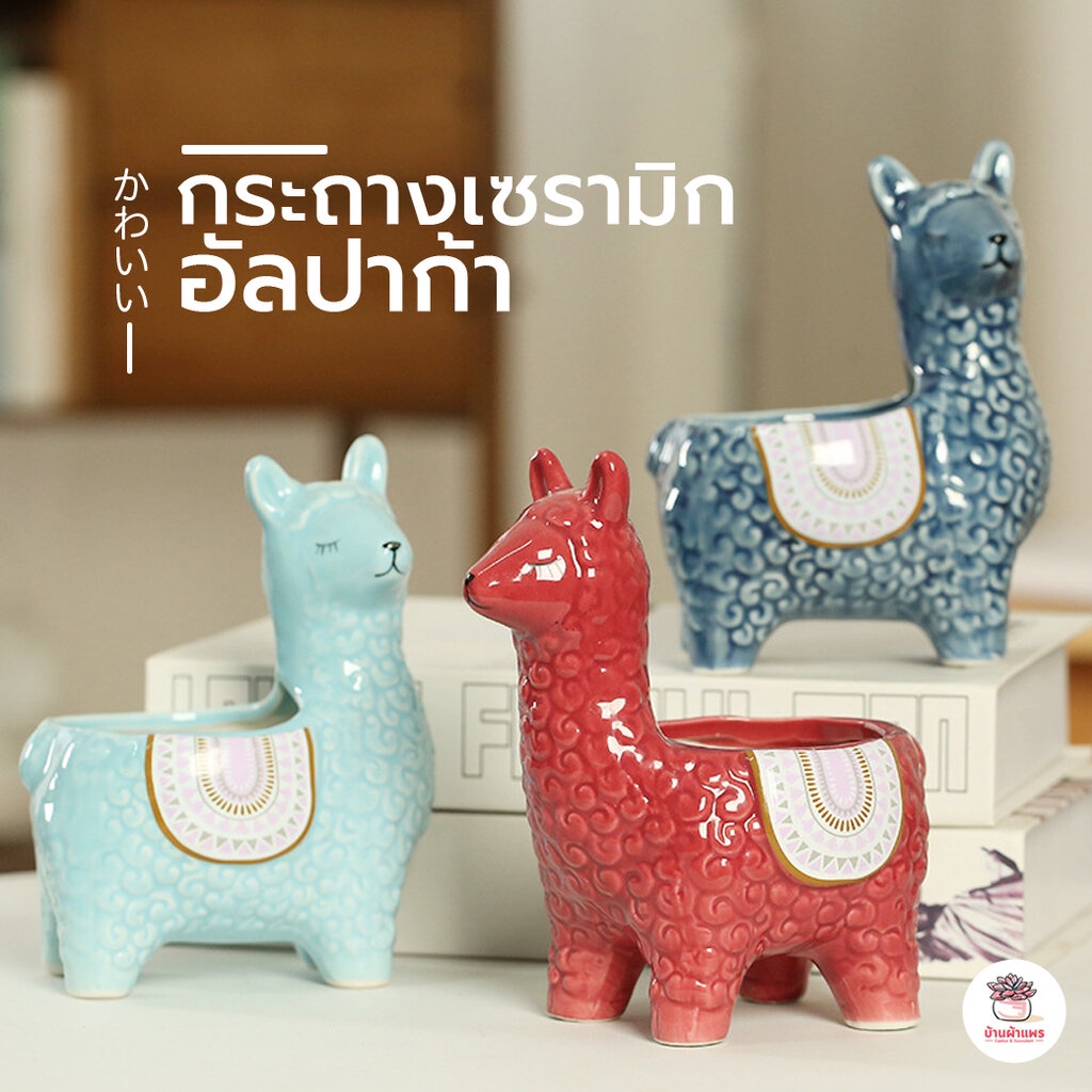 กระถางเซรามิค อัลปาก้า กระถางต้นไม้ แคคตัส กระบองเพชร ไม้อวบน้ำ Cactus&Succulent