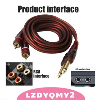 [Lzdyqmy2] สายเคเบิล RCA เป็น 1/4 (2X6.35 มม. สเตอริโอ เป็น 2 RCA)