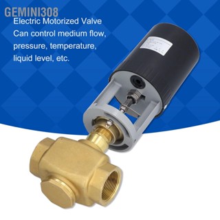 Gemini308 วาล์วควบคุมมอเตอร์ไฟฟ้าทองเหลือง BSP 2 ทาง AC 220V สำหรับอุตสาหกรรม