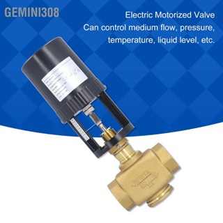 Gemini308 วาล์วควบคุมมอเตอร์ไฟฟ้าทองเหลือง BSP อุปกรณ์เสริม 2 ทาง AC 24V สำหรับอุตสาหกรรม