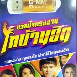 usb ขวัญใจแรงงาน ไทบ้านฮิต เสาหลักของบ้าน แรงงานของนาย เบียร์ พร้อมพงษ์ มนต์แคน ไผ่ พงศธร mp3 usb gmm